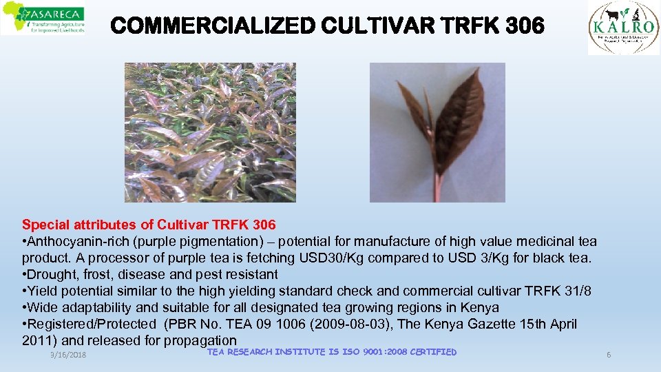 COMMERCIALIZED CULTIVAR TRFK 306 Special attributes of Cultivar TRFK 306 • Anthocyanin-rich (purple pigmentation)