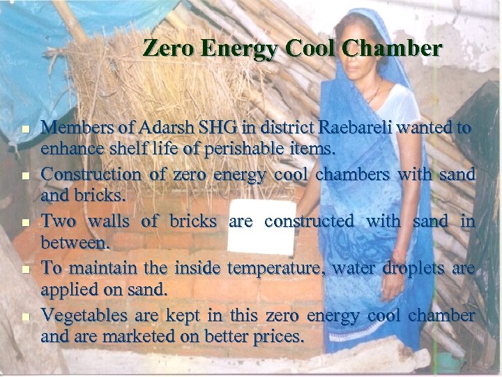Zero Energy Cool Chamber n n n Members of Adarsh SHG in district Raebareli