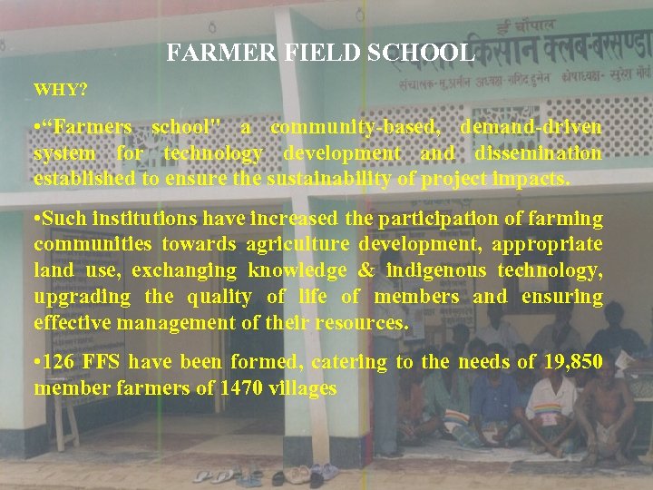 FARMER FIELD SCHOOL WHY? • “Farmers school" a community-based, demand-driven system for technology development
