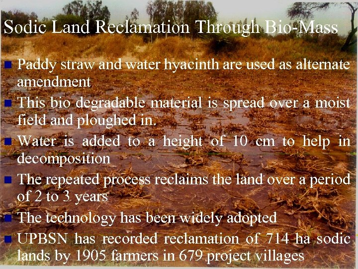 Sodic Land Reclamation Through Bio-Mass Paddy straw and water hyacinth are used as alternate