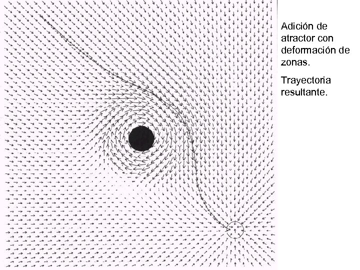 Adición de atractor con deformación de zonas. Trayectoria resultante. 