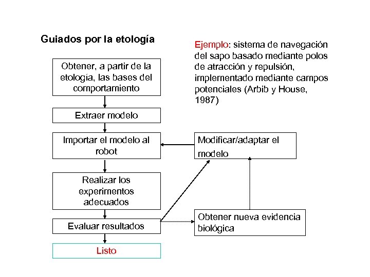 Guiados por la etología Obtener, a partir de la etología, las bases del comportamiento