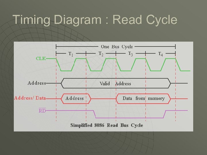 Timing Diagram : Read Cycle 