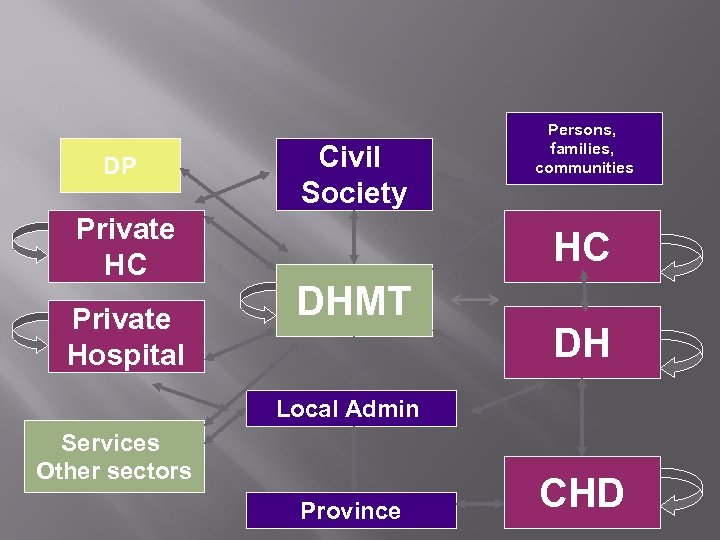 DP Private HC Private Hospital Civil Society Persons, families, communities HC DHMT DH Local