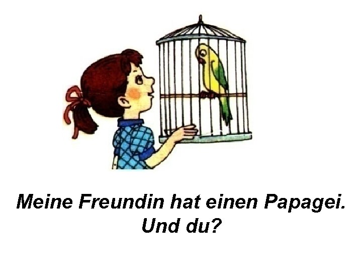 Meine Freundin hat einen Papagei. Und du? 