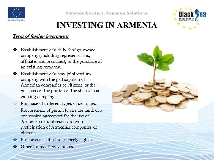 INVESTING IN ARMENIA Types of foreign investments v Establishment of a fully foreign-owned company