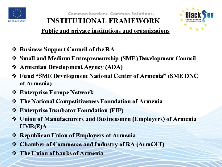 INSTITUTIONAL FRAMEWORK Public and private institutions and organizations v v v Business Support Council