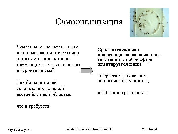 Самоорганизация Чем больше востребованы те или иные знания, тем больше открывается проектов, их требующих,