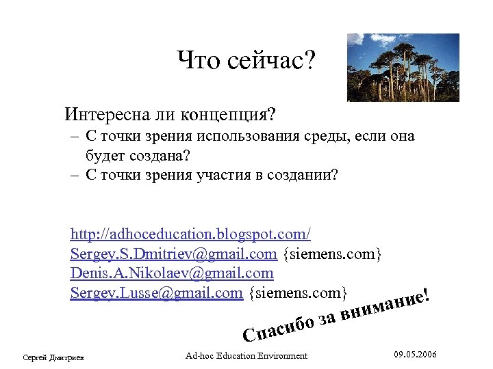 Что сейчас? forest Интересна ли концепция? – С точки зрения использования среды, если она