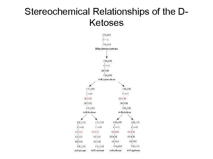 Stereochemical Relationships of the DKetoses 