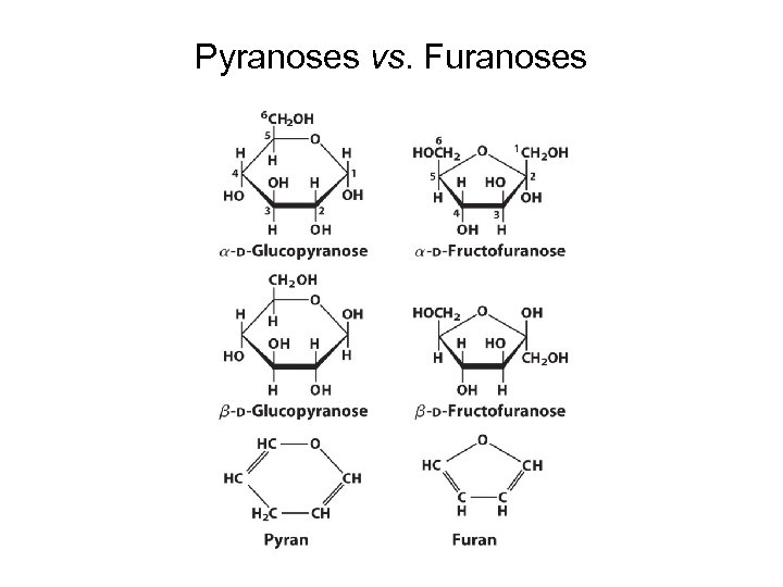 Pyranoses vs. Furanoses 