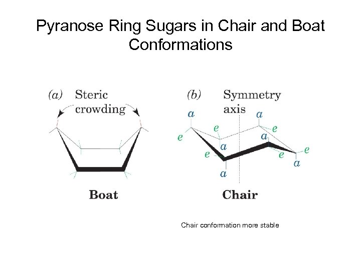 Pyranose Ring Sugars in Chair and Boat Conformations Chair conformation more stable 