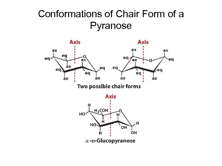 Conformations of Chair Form of a Pyranose 