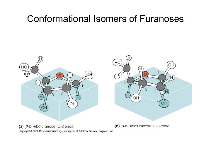 Conformational Isomers of Furanoses 