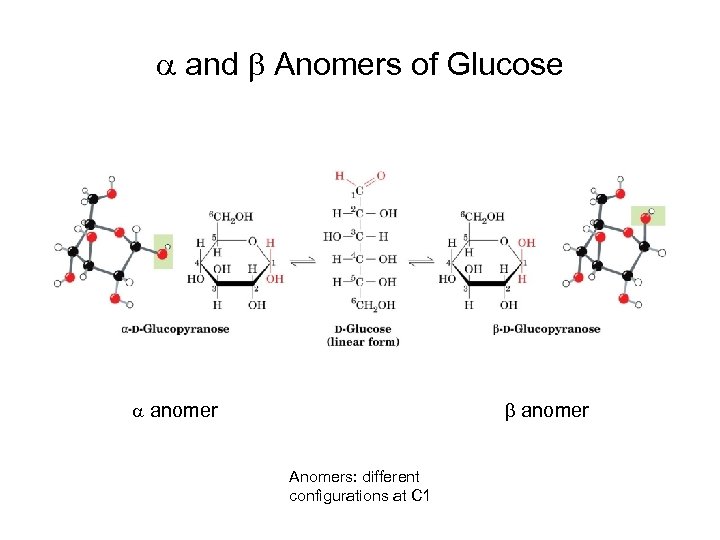 a and b Anomers of Glucose a anomer b anomer Anomers: different configurations at