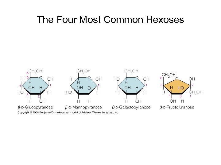 The Four Most Common Hexoses 