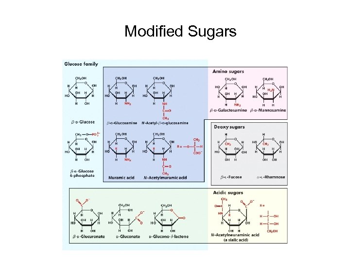 Modified Sugars 