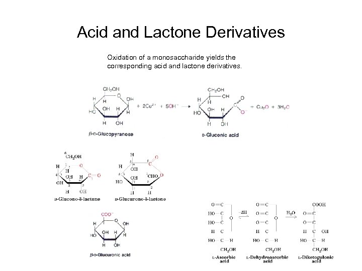 Acid and Lactone Derivatives Oxidation of a monosaccharide yields the corresponding acid and lactone