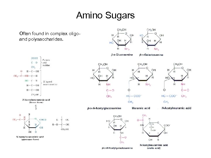 Amino Sugars Often found in complex oligoand polysaccharides. 