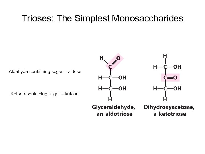 Trioses: The Simplest Monosaccharides Aldehyde-containing sugar = aldose Ketone-containing sugar = ketose 