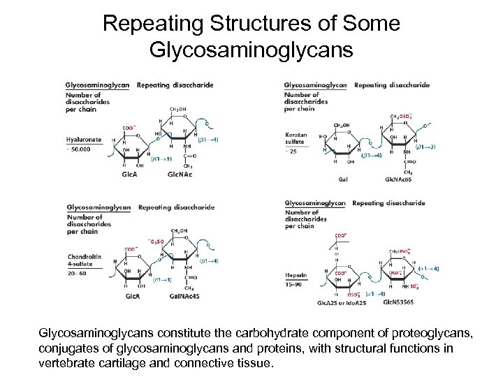 Repeating Structures of Some Glycosaminoglycans constitute the carbohydrate component of proteoglycans, conjugates of glycosaminoglycans