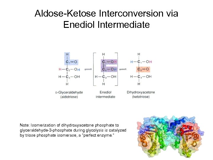 Aldose-Ketose Interconversion via Enediol Intermediate Note: Isomerization of dihydroxyacetone phosphate to glyceraldehyde-3 -phosphate during