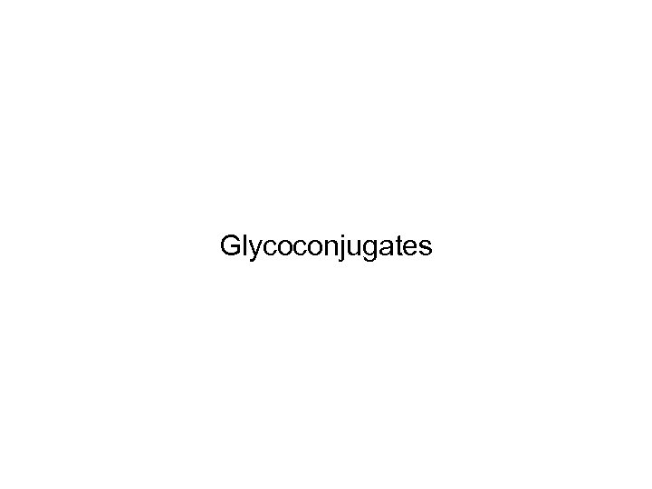 Glycoconjugates 