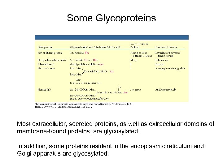 Some Glycoproteins Most extracellular, secreted proteins, as well as extracellular domains of membrane-bound proteins,