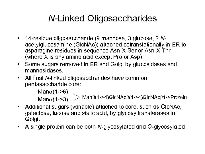 N-Linked Oligosaccharides • 14 -residue oligosaccharide (9 mannose, 3 glucose, 2 Nacetylglucosamine (Glc. NAc))