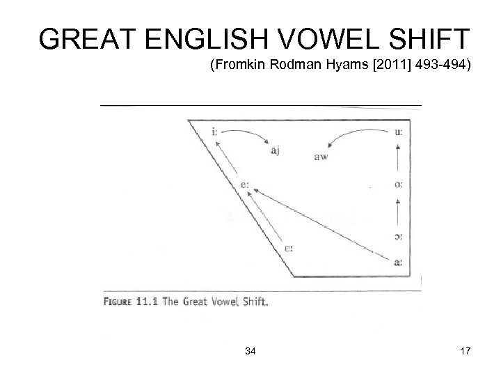 GREAT ENGLISH VOWEL SHIFT (Fromkin Rodman Hyams [2011] 493 -494) 34 17 