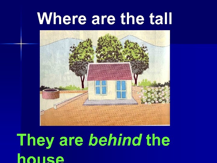 Where are the tall trees? They are behind the 