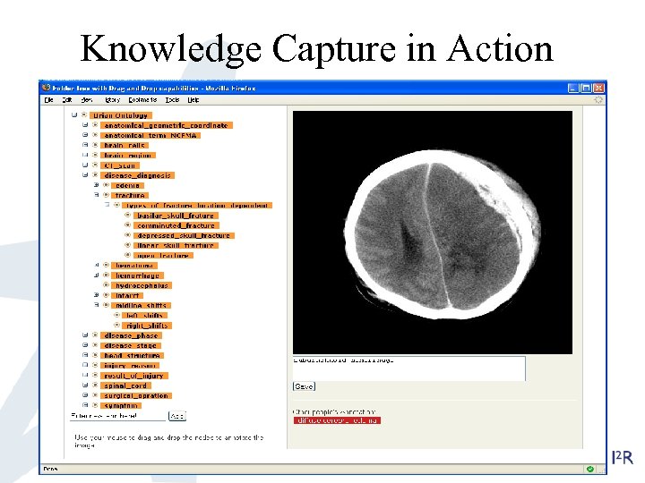 Knowledge Capture in Action 