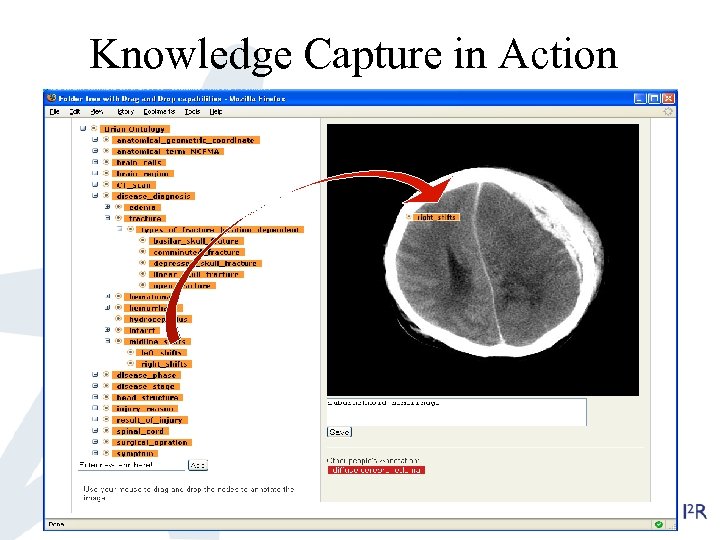 Knowledge Capture in Action 