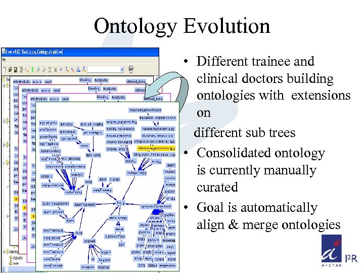 Ontology Evolution • Different trainee and clinical doctors building ontologies with extensions on different