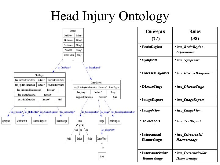 Head Injury Ontology Concepts (27) Roles (38) • Brain. Region • has_Brain. Region Information
