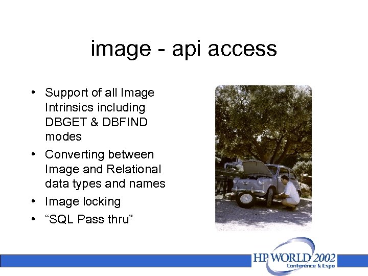 image - api access • Support of all Image Intrinsics including DBGET & DBFIND