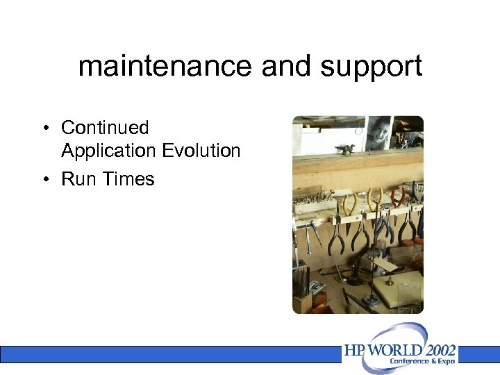 maintenance and support • Continued Application Evolution • Run Times 