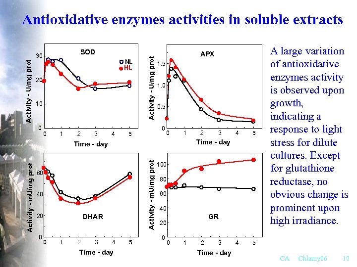 Antioxidative enzymes activities in soluble extracts Activity - U/mg prot NL HL 20 10