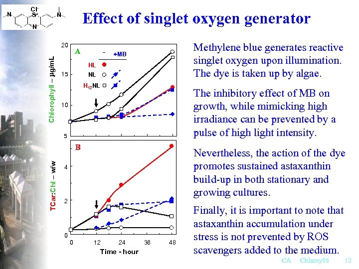 Effect of singlet oxygen generator N N Chlorophyll – mg/m. L 20 A –