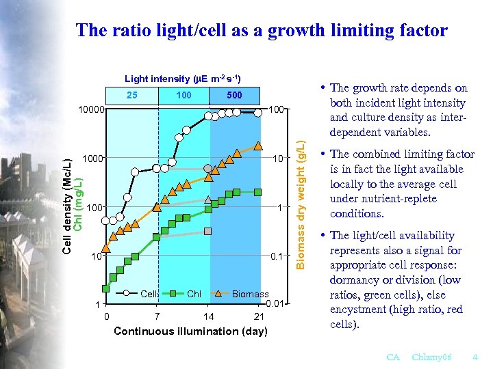 The ratio light/cell as a growth limiting factor Light intensity (m. E m-2 s-1)