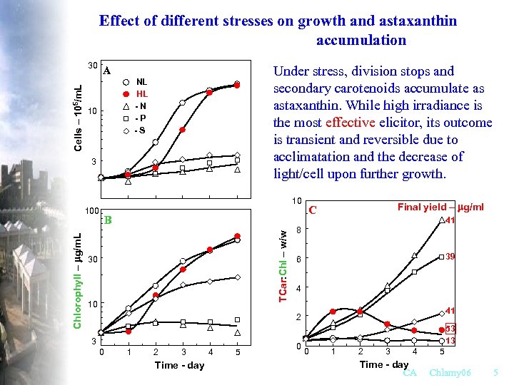 Effect of different stresses on growth and astaxanthin accumulation Cells – 105/m. L 30