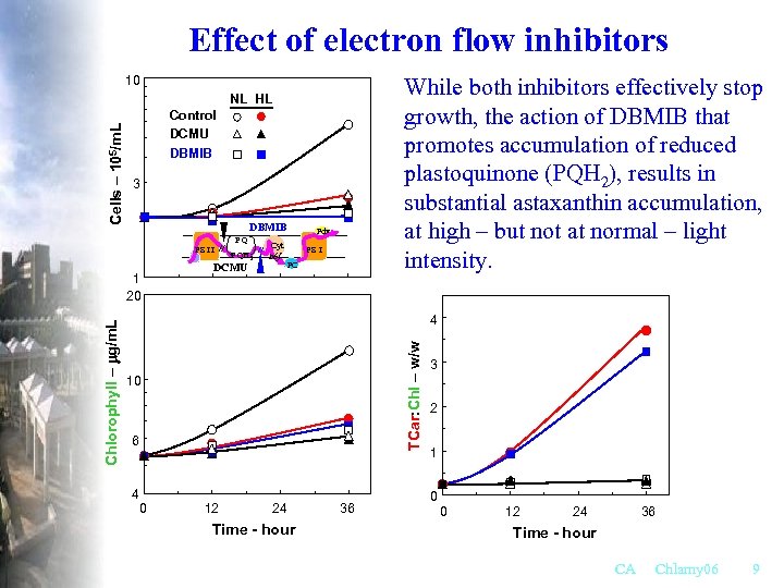 Effect of electron flow inhibitors 10 While both inhibitors effectively stop growth, the action