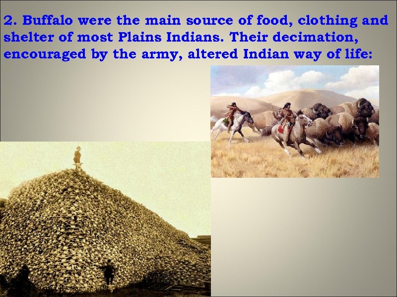 2. Buffalo were the main source of food, clothing and shelter of most Plains