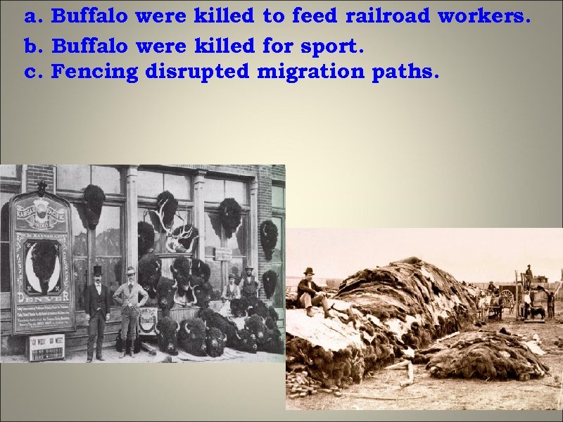 a. Buffalo were killed to feed railroad workers. b. Buffalo were killed for sport.