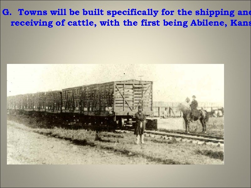 G. Towns will be built specifically for the shipping and receiving of cattle, with