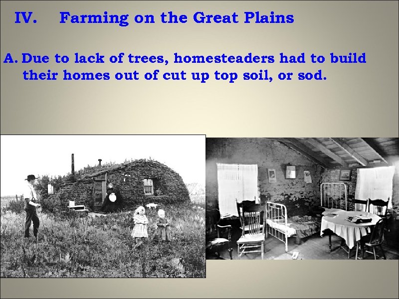 IV. Farming on the Great Plains A. Due to lack of trees, homesteaders had