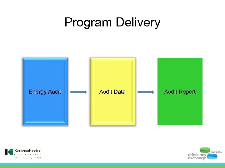 Program Delivery Energy Audit Data Audit Report 