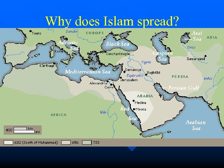 Why does Islam spread? Social justice message – non-violence, equality n Strength of Muhammad’s