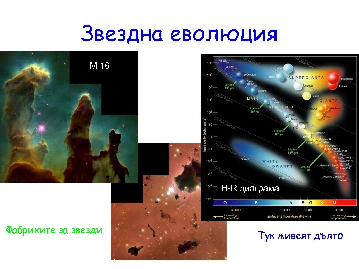 Звездна еволюция М 16 H-R диаграма Фабриките за звезди Тук живеят дълго 