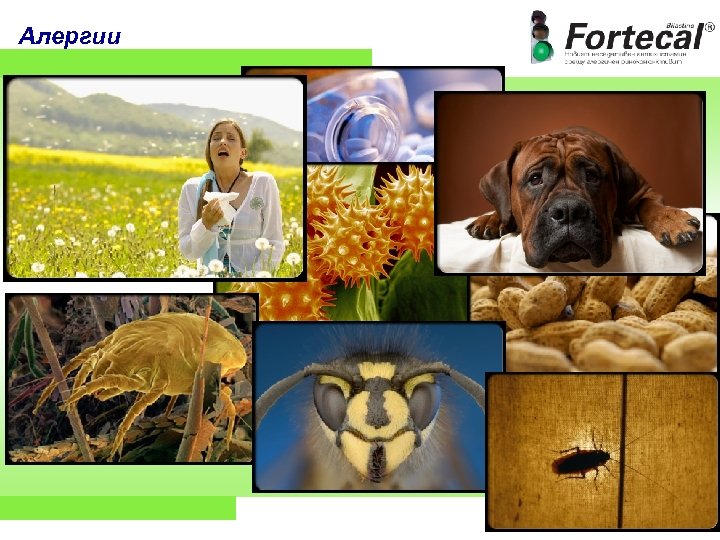 Алергии 